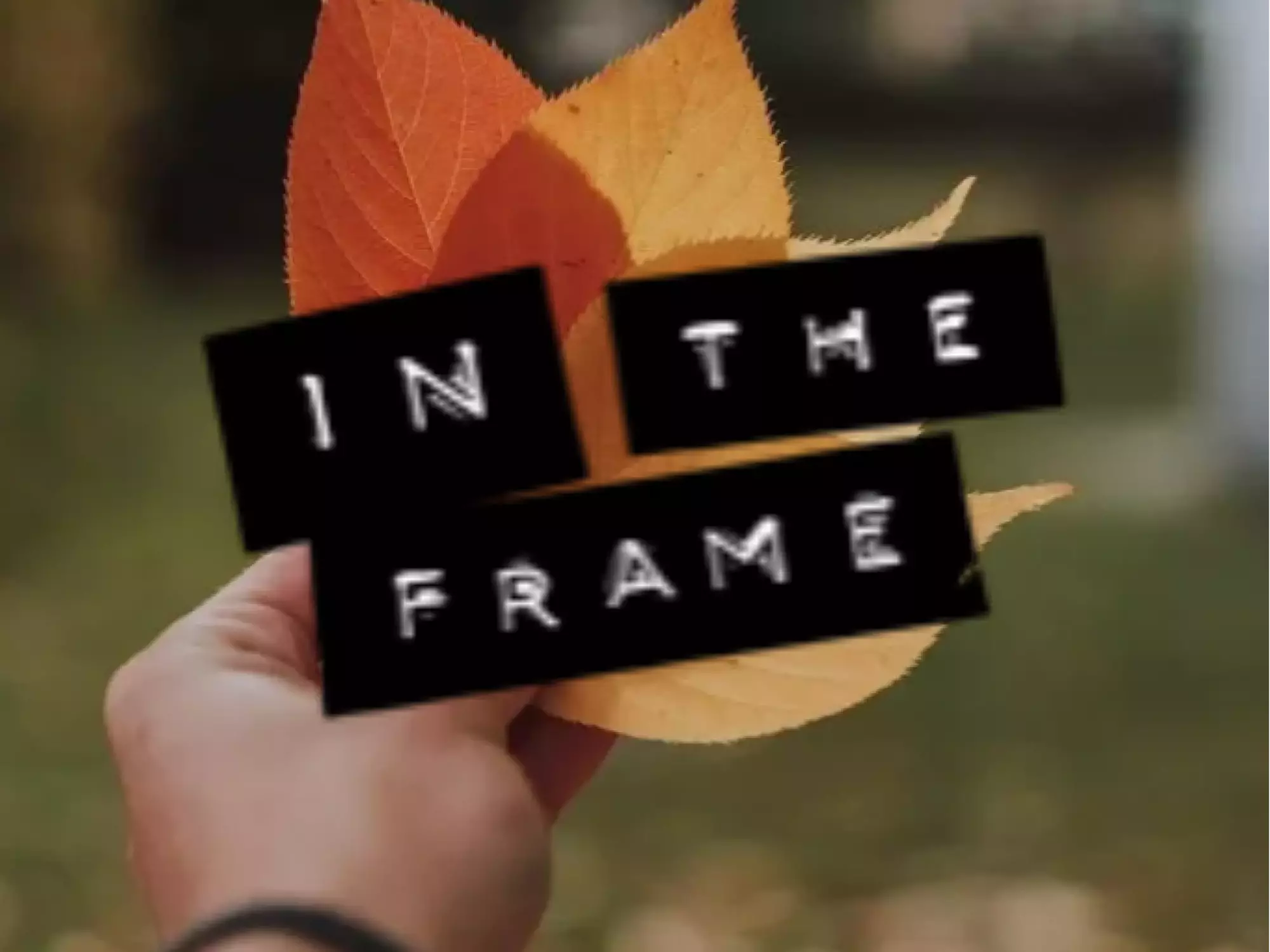 Wintertide Fest with IN THE FRAME